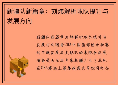 新疆队新篇章：刘炜解析球队提升与发展方向